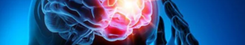 All About Concussions